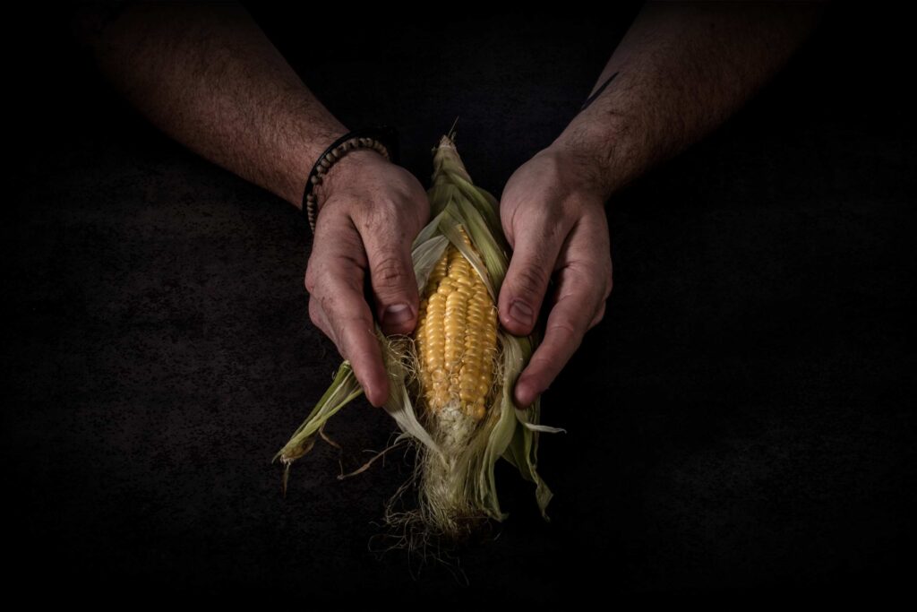 One of the first harvests of corn, cob in the hands of chef Germán Carrizo.